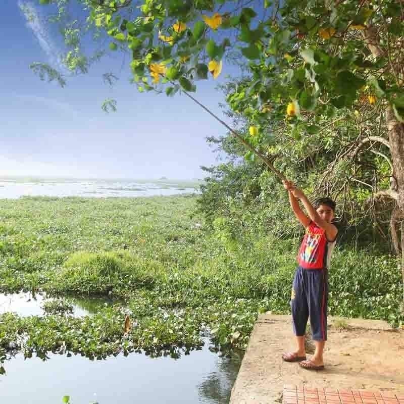 Saro Lake County Kumarakom Ngoại thất bức ảnh